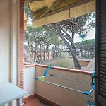Apart Otel Pineta Azzurra *