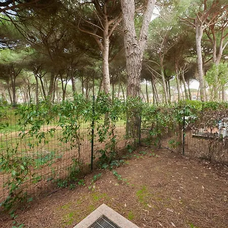Pineta Azzurra *