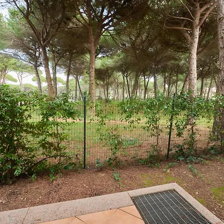 Pineta Azzurra